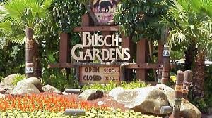 Busch Gardens Tampa Sign