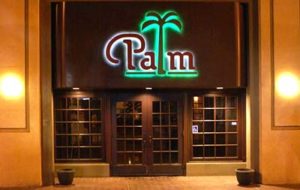 palm 4