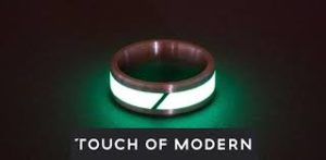 Touch of Modern Logo